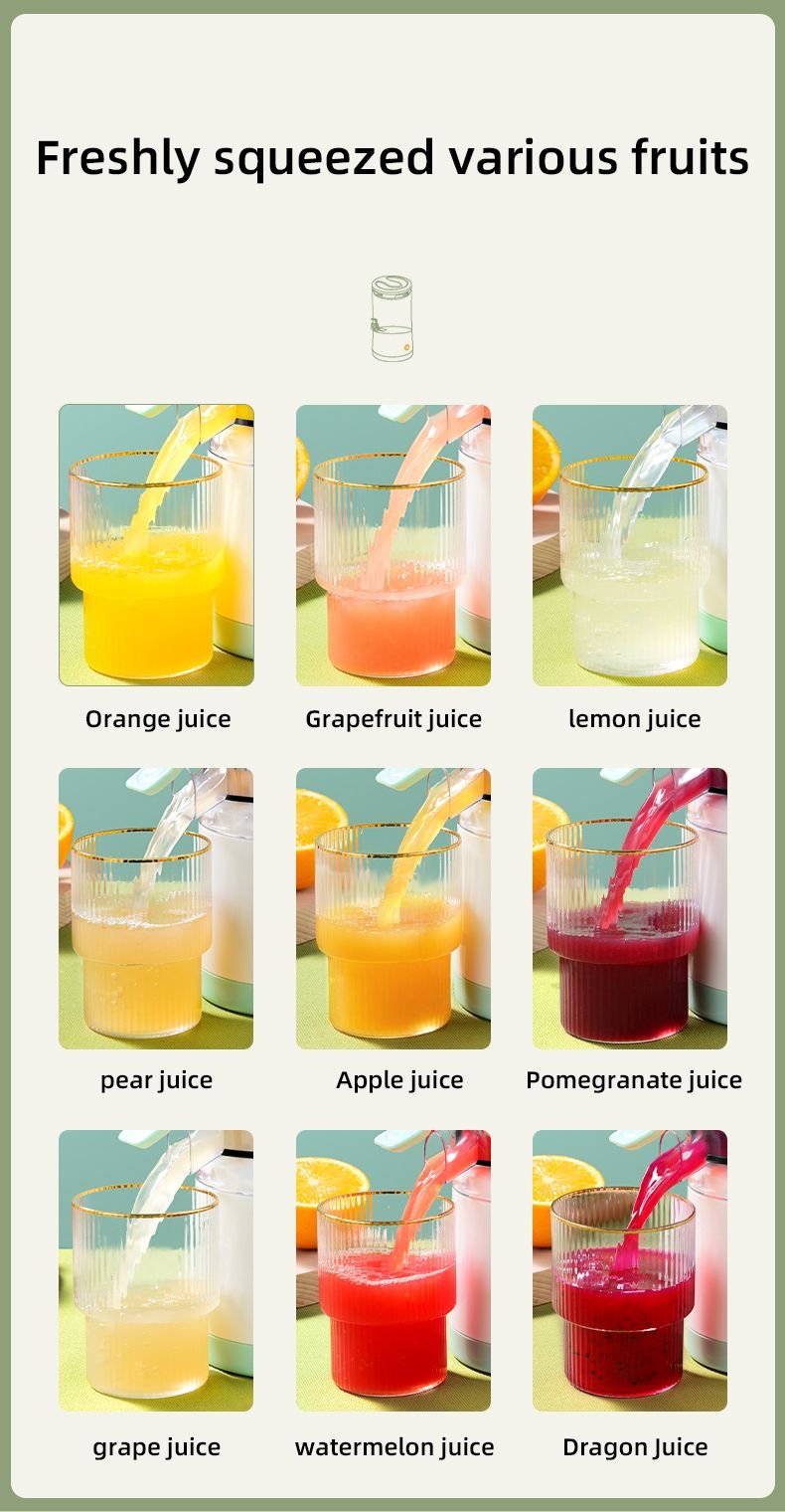 Citrus Juicer - Barakaq